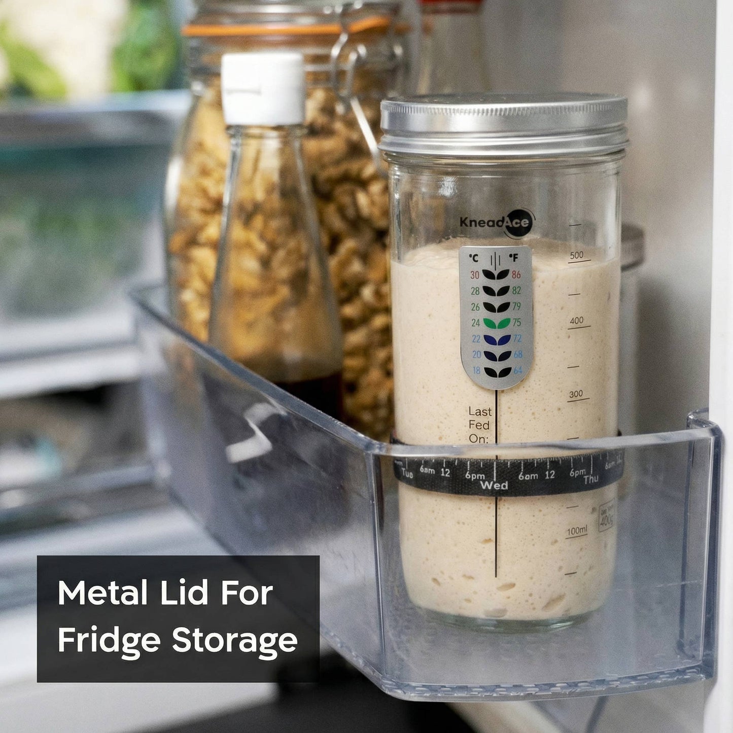 KneadAce® 24oz Sourdough Starter Jar: Single Pack